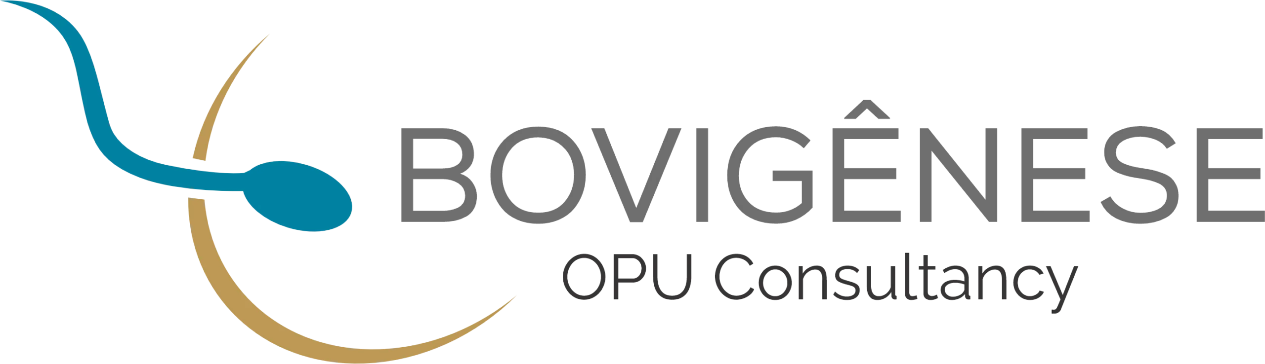 Bovigênese