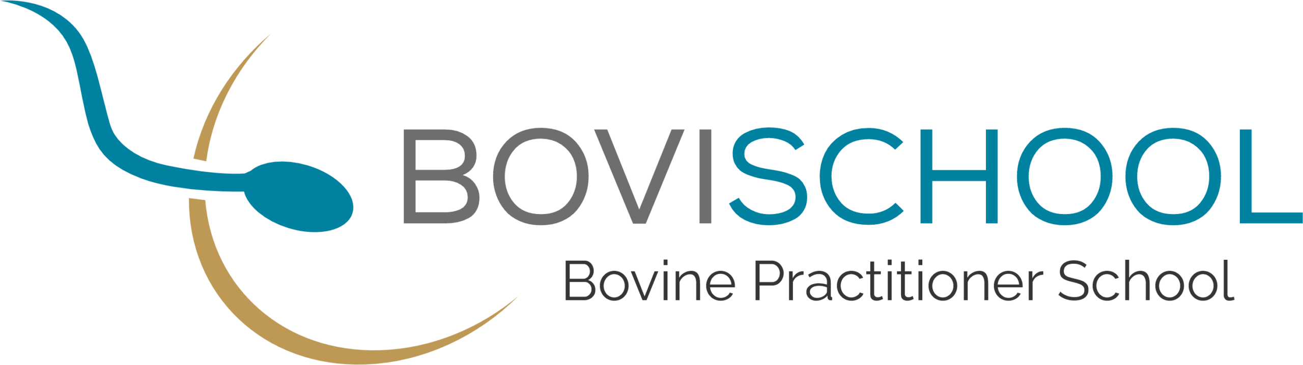 Bovischool